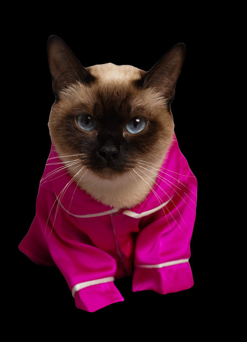 FOR PETS