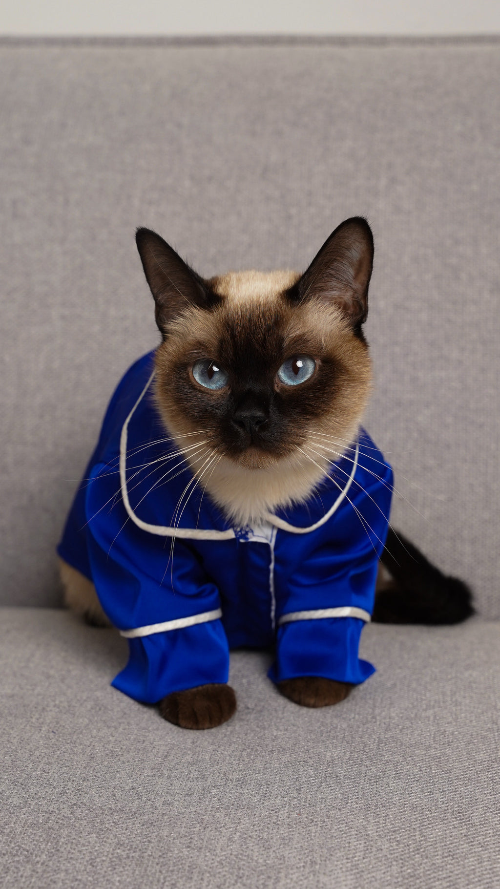 СОРОЧКА ДЛЯ ТВАРИНКИ ЕЛЕКТРИК