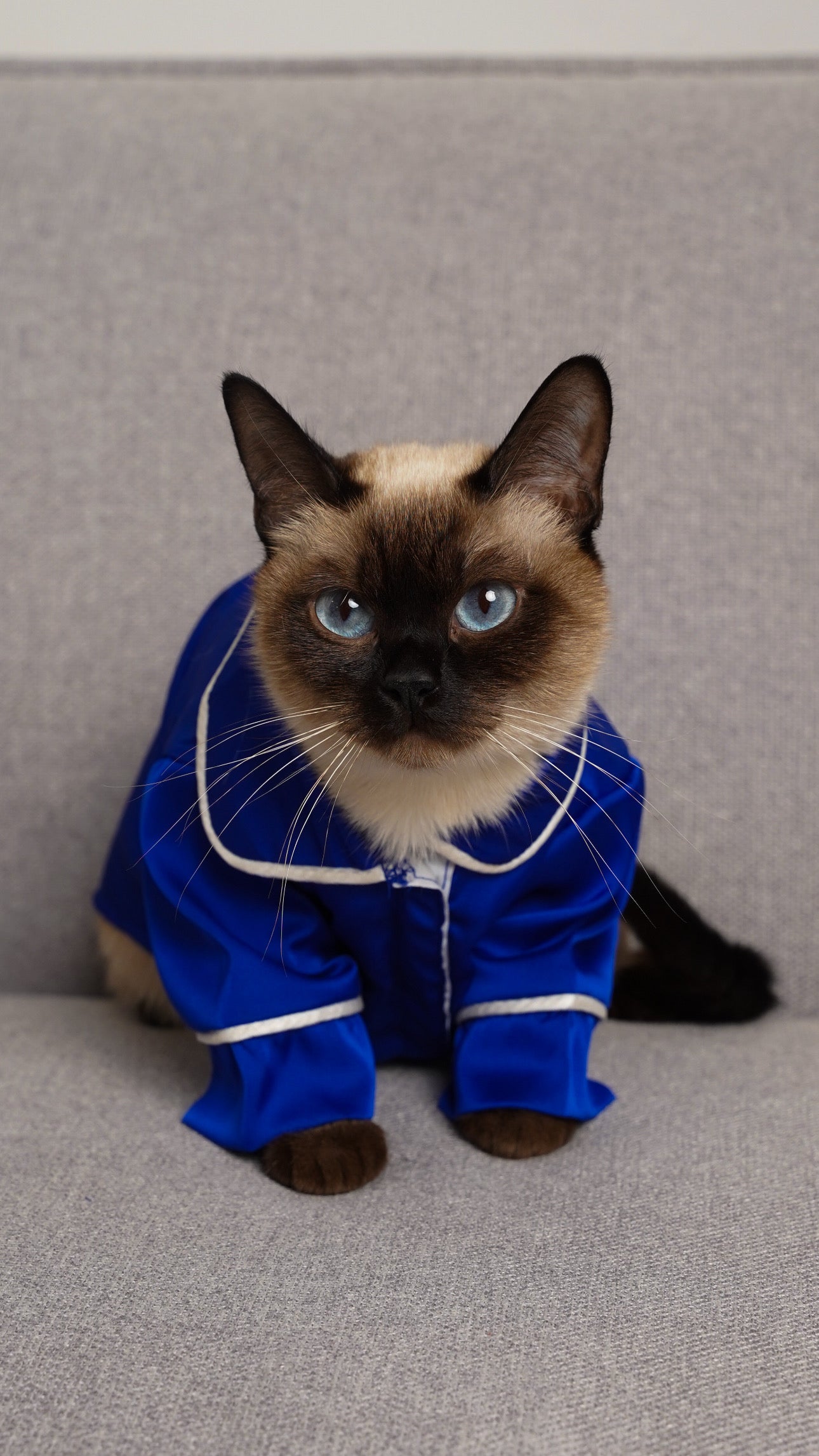 СОРОЧКА ДЛЯ ТВАРИНКИ ЕЛЕКТРИК