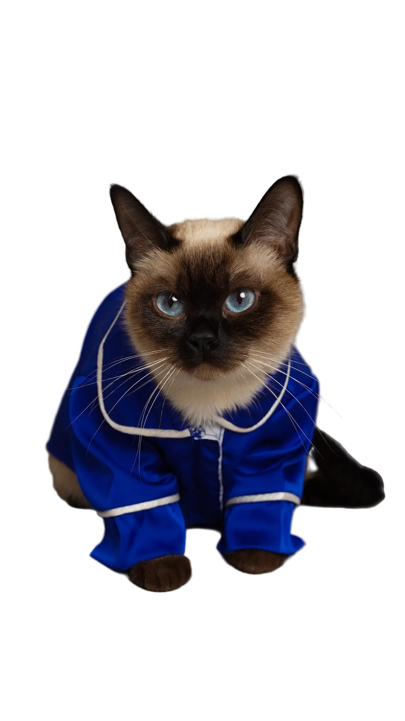 СОРОЧКА ДЛЯ ТВАРИНКИ ЕЛЕКТРИК