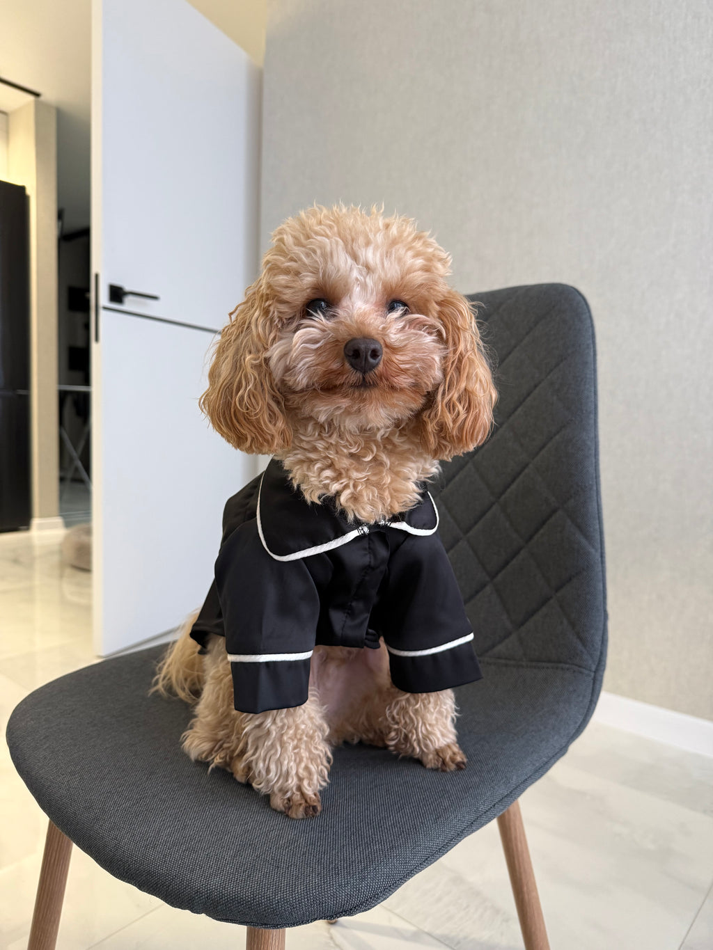 СОРОЧКА ДЛЯ ТВАРИНКИ ЧОРНА