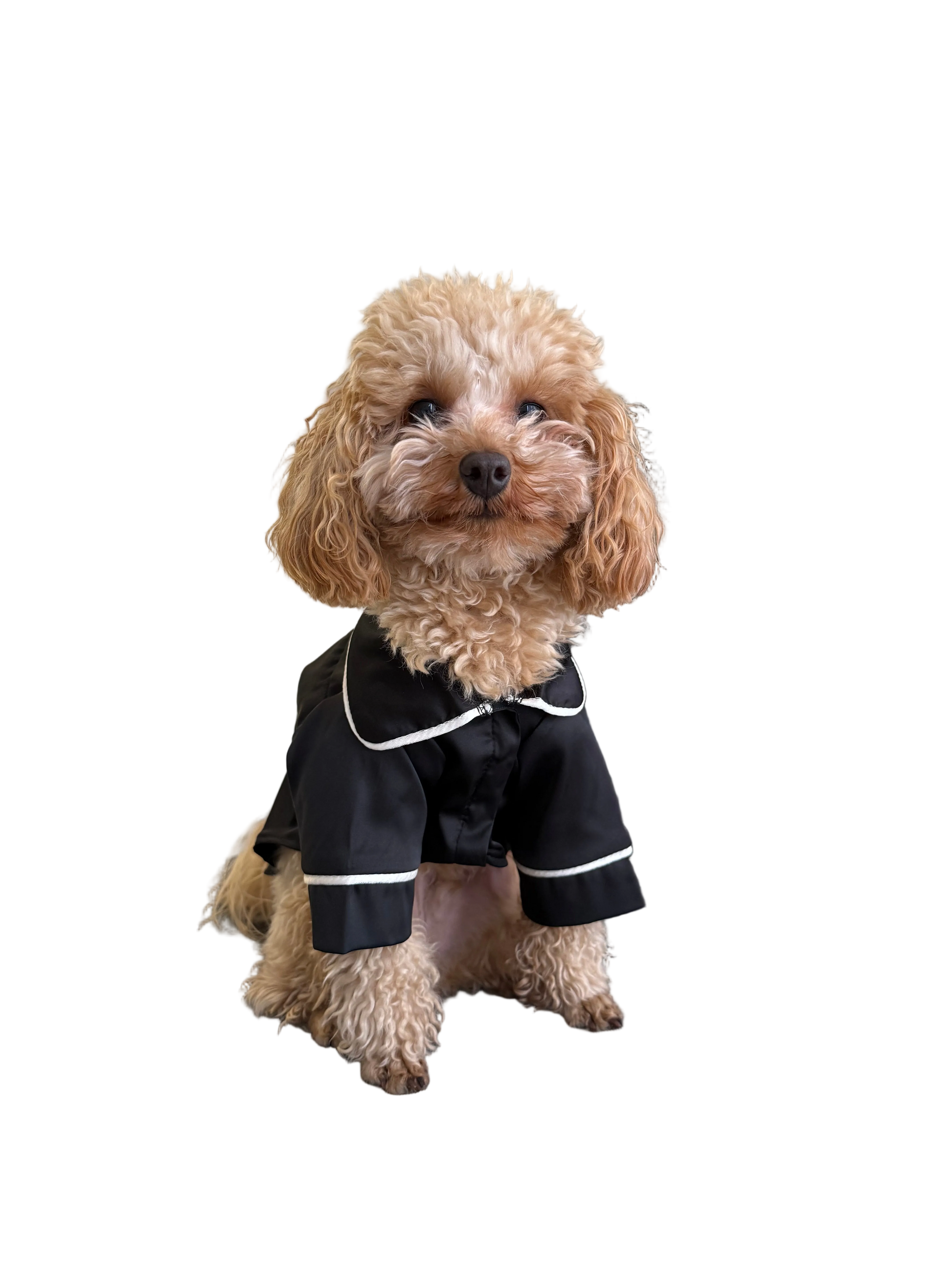 СОРОЧКА ДЛЯ ТВАРИНКИ ЧОРНА