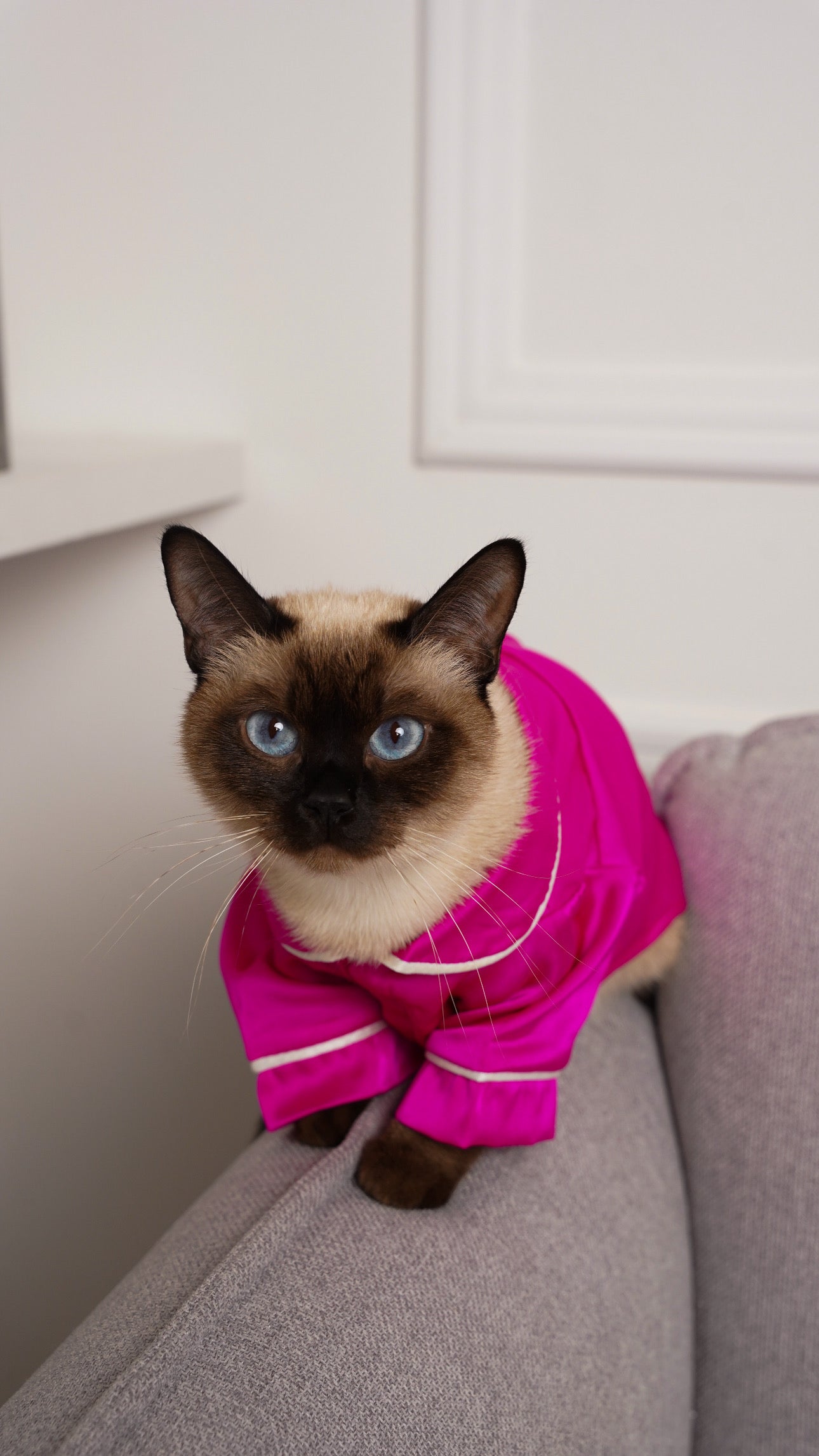 СОРОЧКА ДЛЯ ТВАРИНКИ ФУКСІЯ