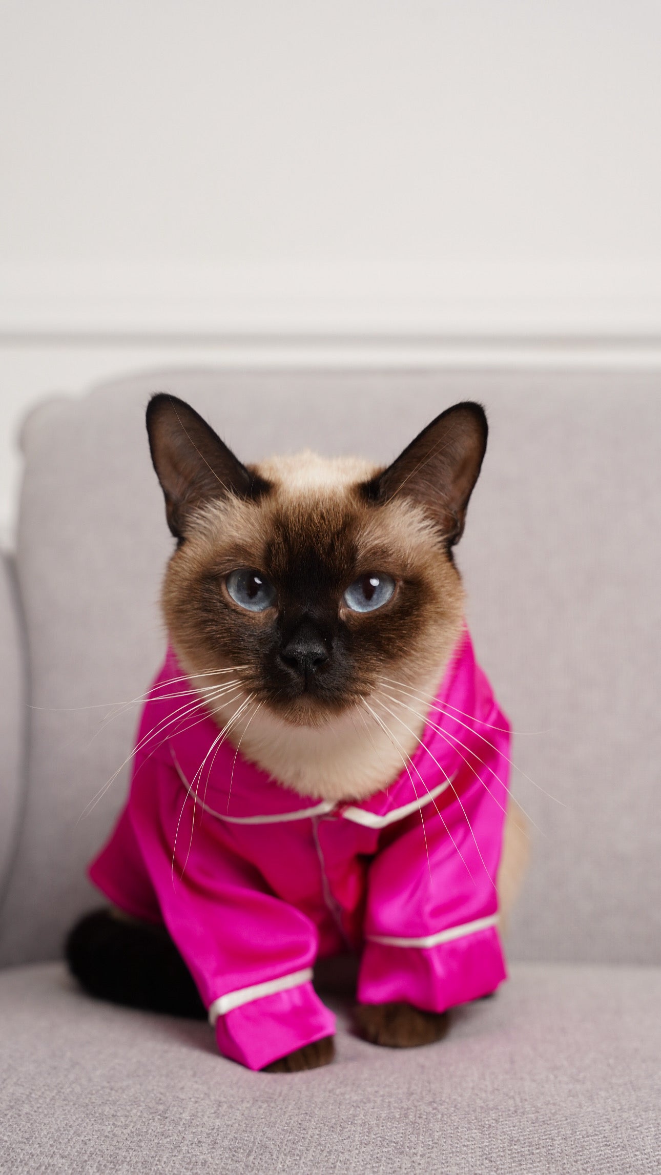 СОРОЧКА ДЛЯ ТВАРИНКИ ФУКСІЯ