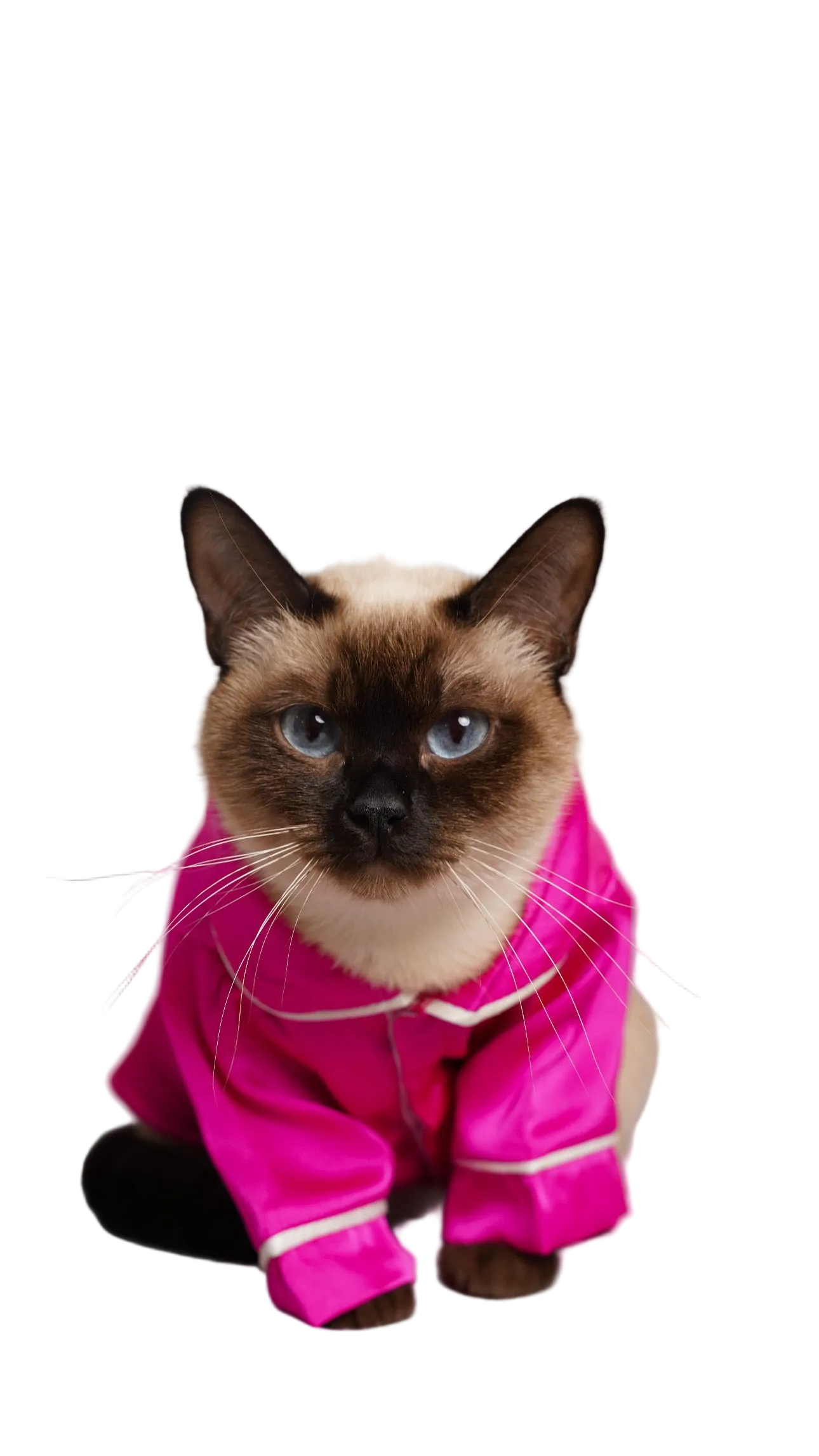 СОРОЧКА ДЛЯ ТВАРИНКИ ФУКСІЯ