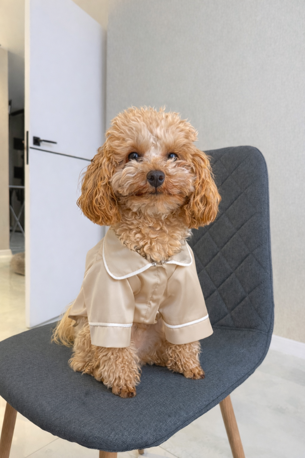 СОРОЧКА ДЛЯ ТВАРИНКИ БЕЖ