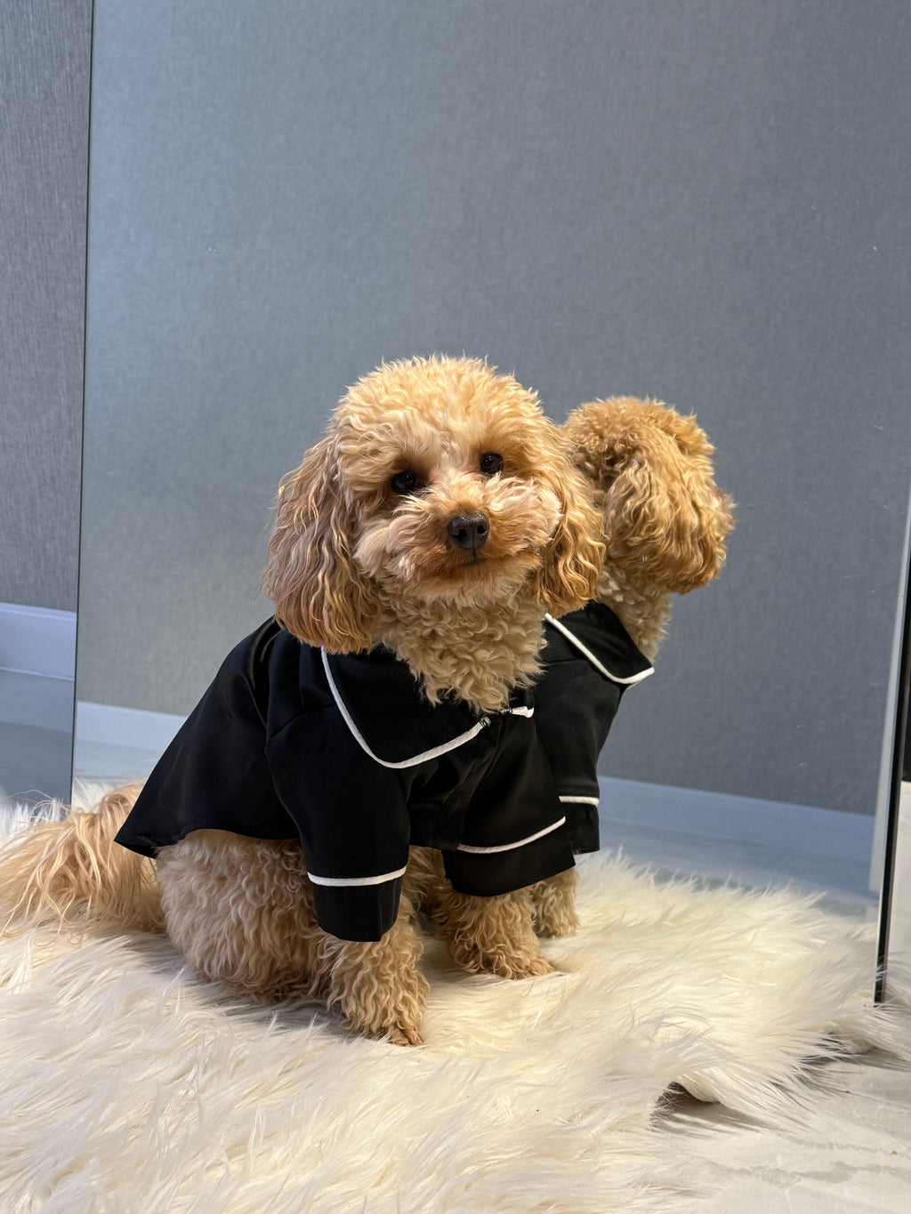 СОРОЧКА ДЛЯ ТВАРИНКИ ЧОРНА