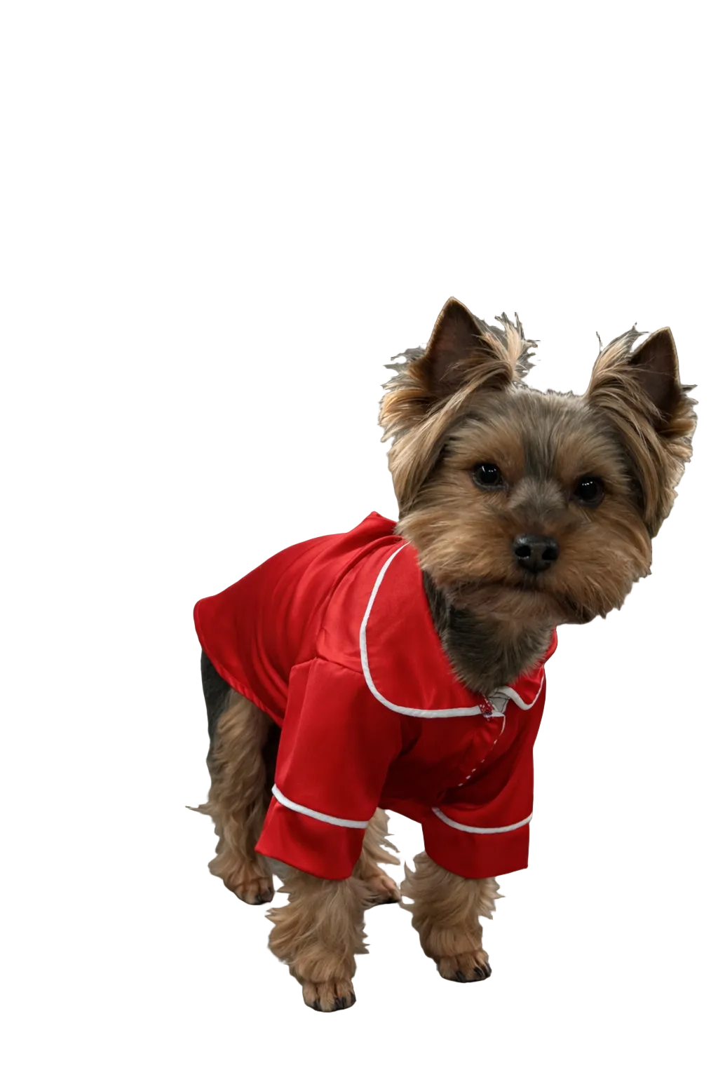 СОРОЧКА ДЛЯ ТВАРИНКИ ЧЕРВОНА