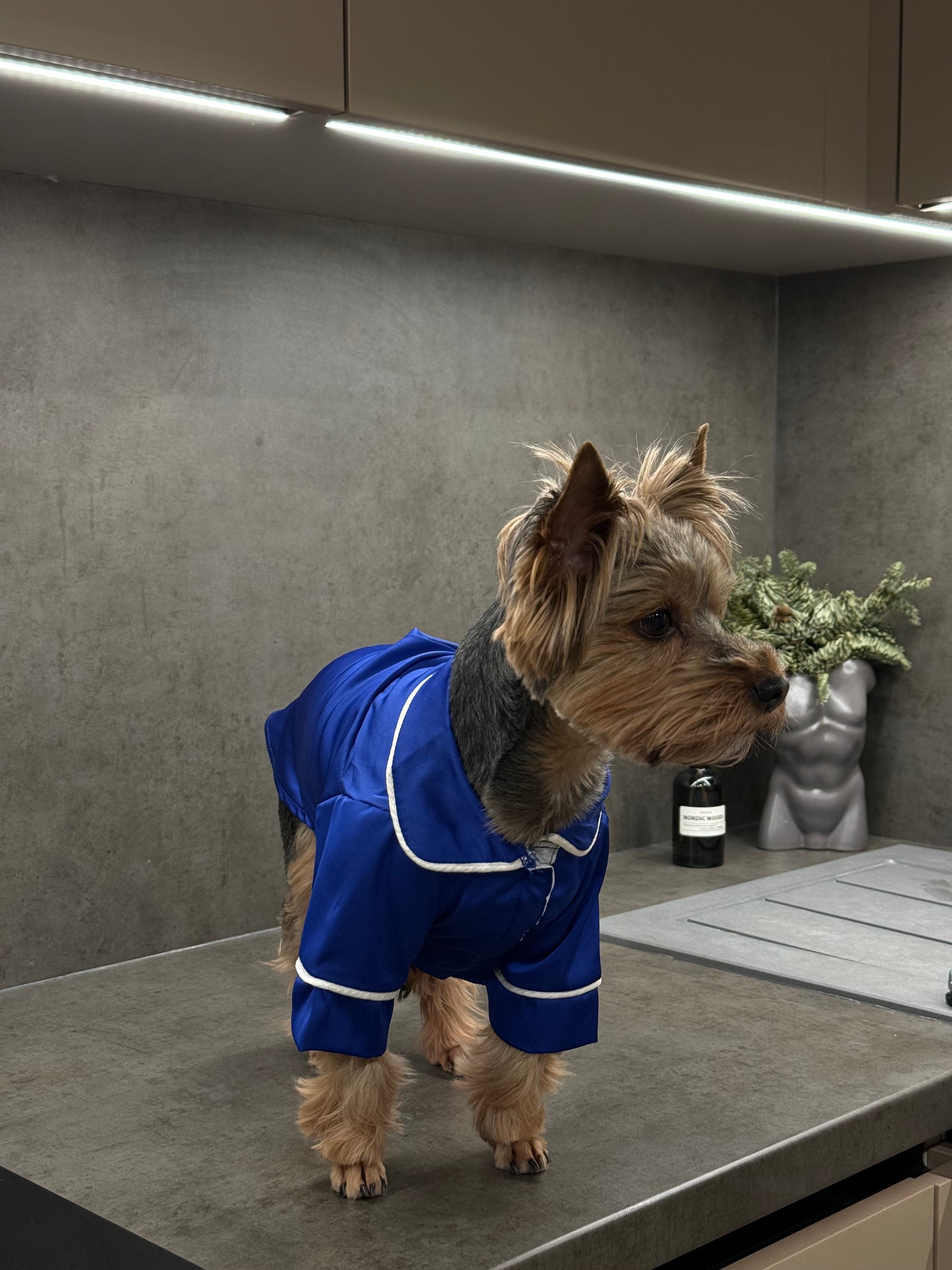 СОРОЧКА ДЛЯ ТВАРИНКИ ЕЛЕКТРИК