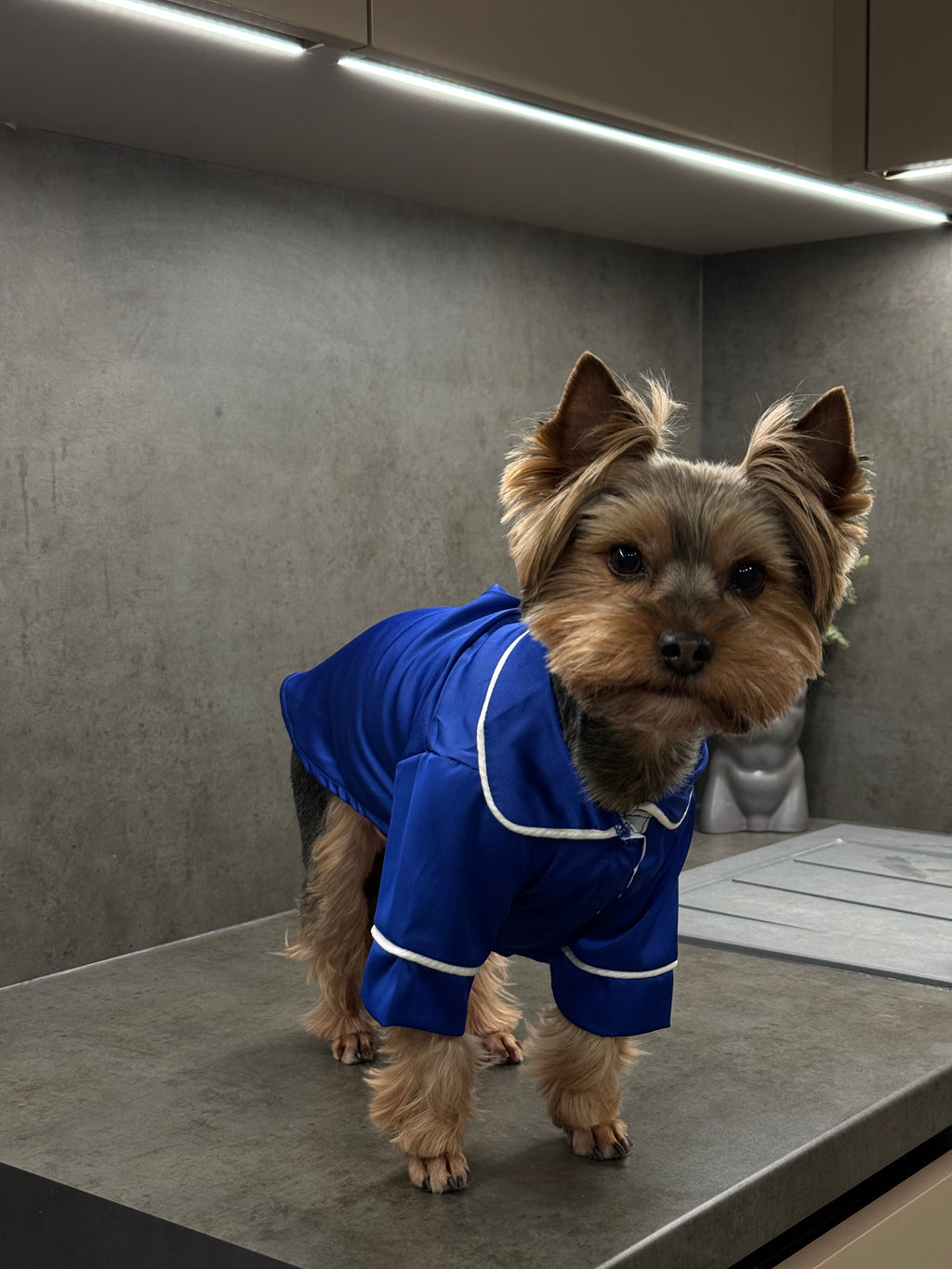 СОРОЧКА ДЛЯ ТВАРИНКИ ЕЛЕКТРИК