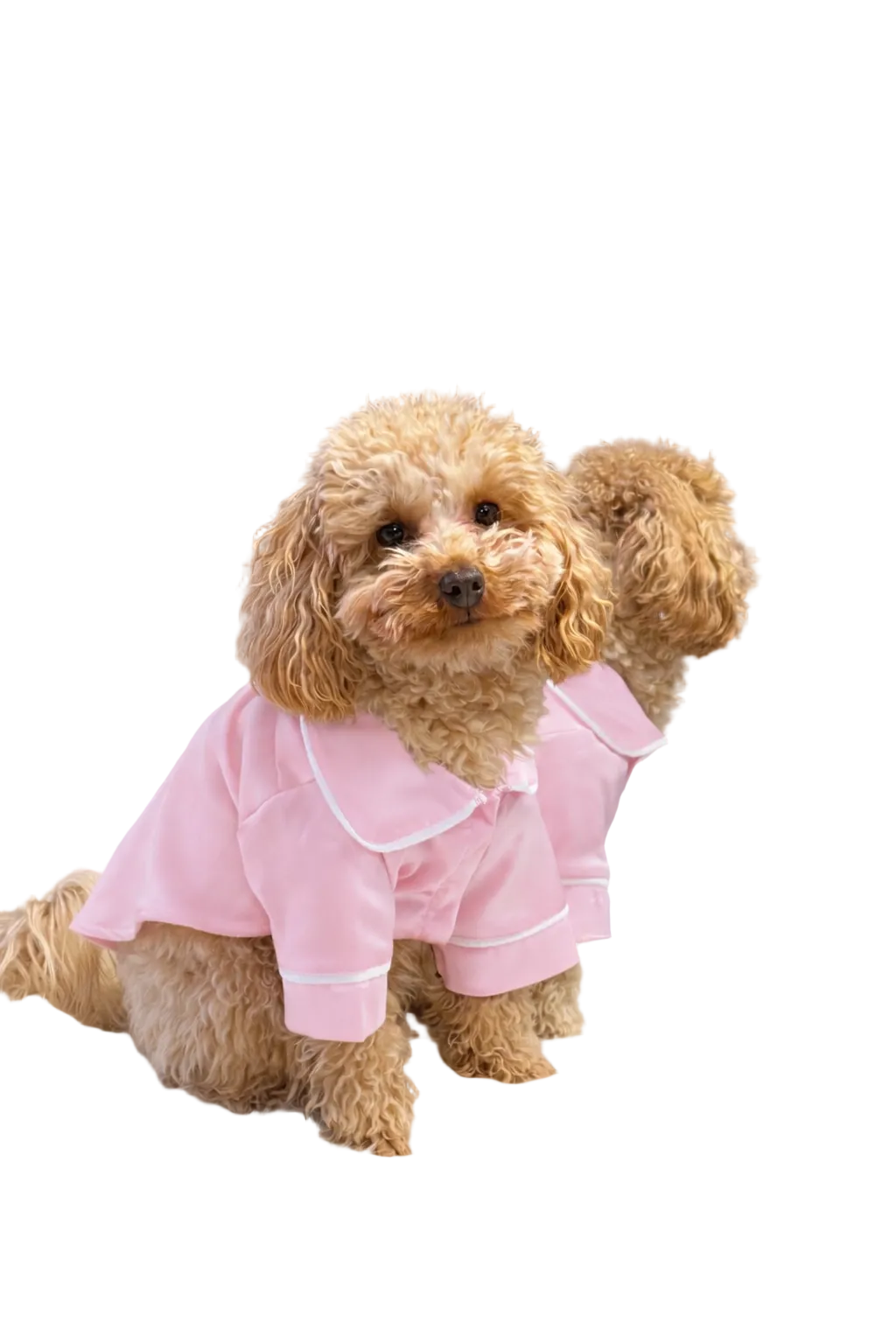 СОРОЧКА ДЛЯ ТВАРИНКИ РОЖЕВА