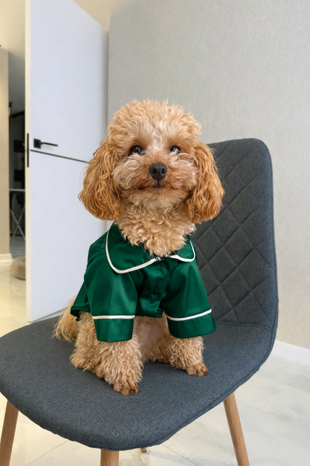 СОРОЧКА ДЛЯ ТВАРИНКИ СМАРАГД