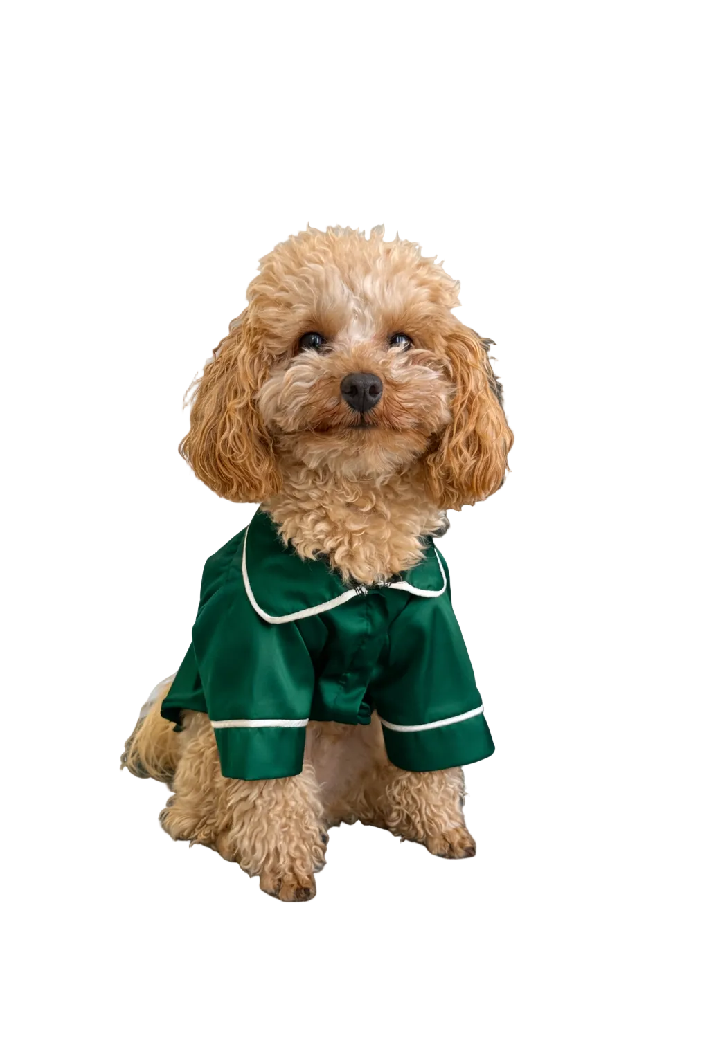 СОРОЧКА ДЛЯ ТВАРИНКИ СМАРАГД