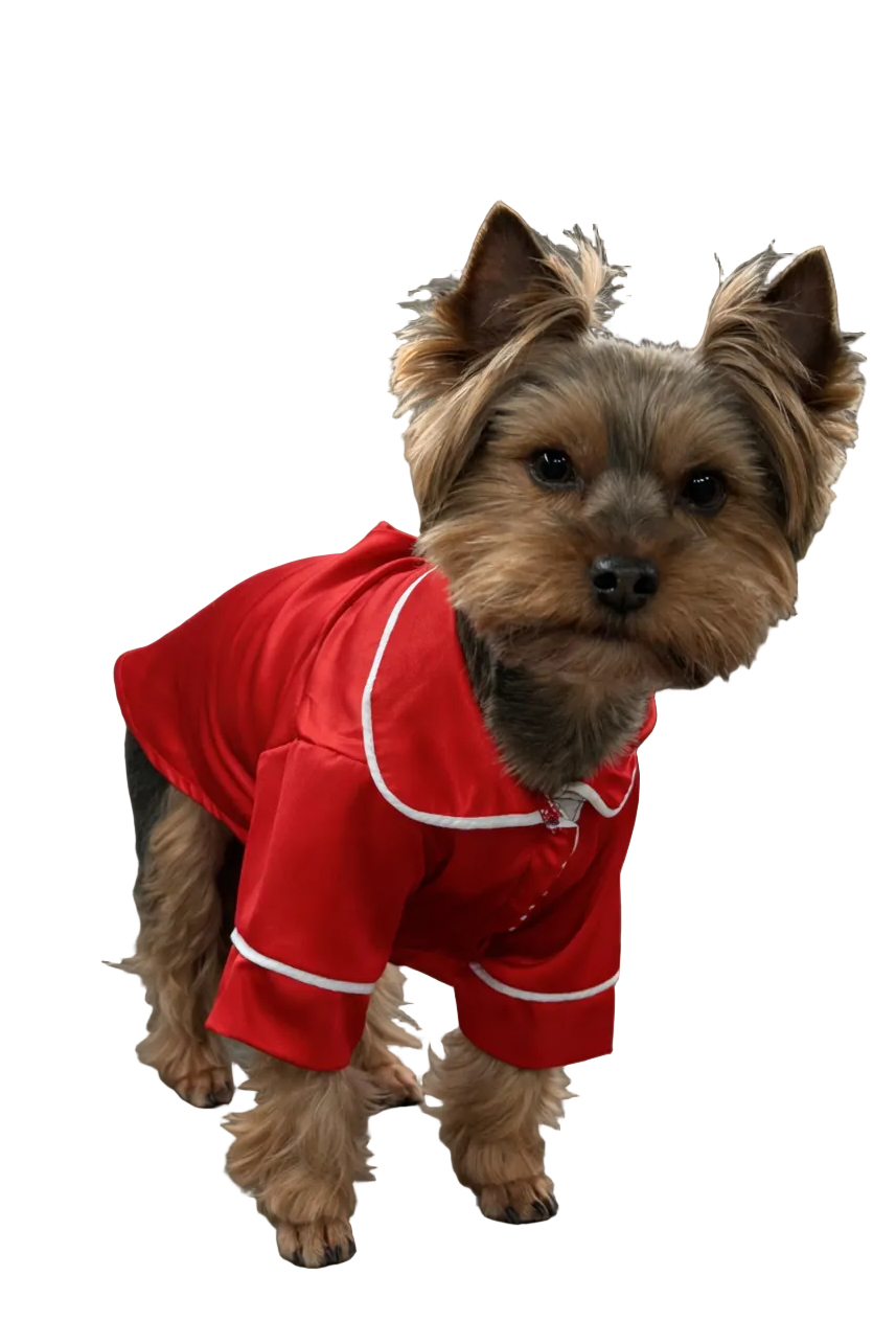 СОРОЧКА ДЛЯ ТВАРИНКИ ЧЕРВОНА