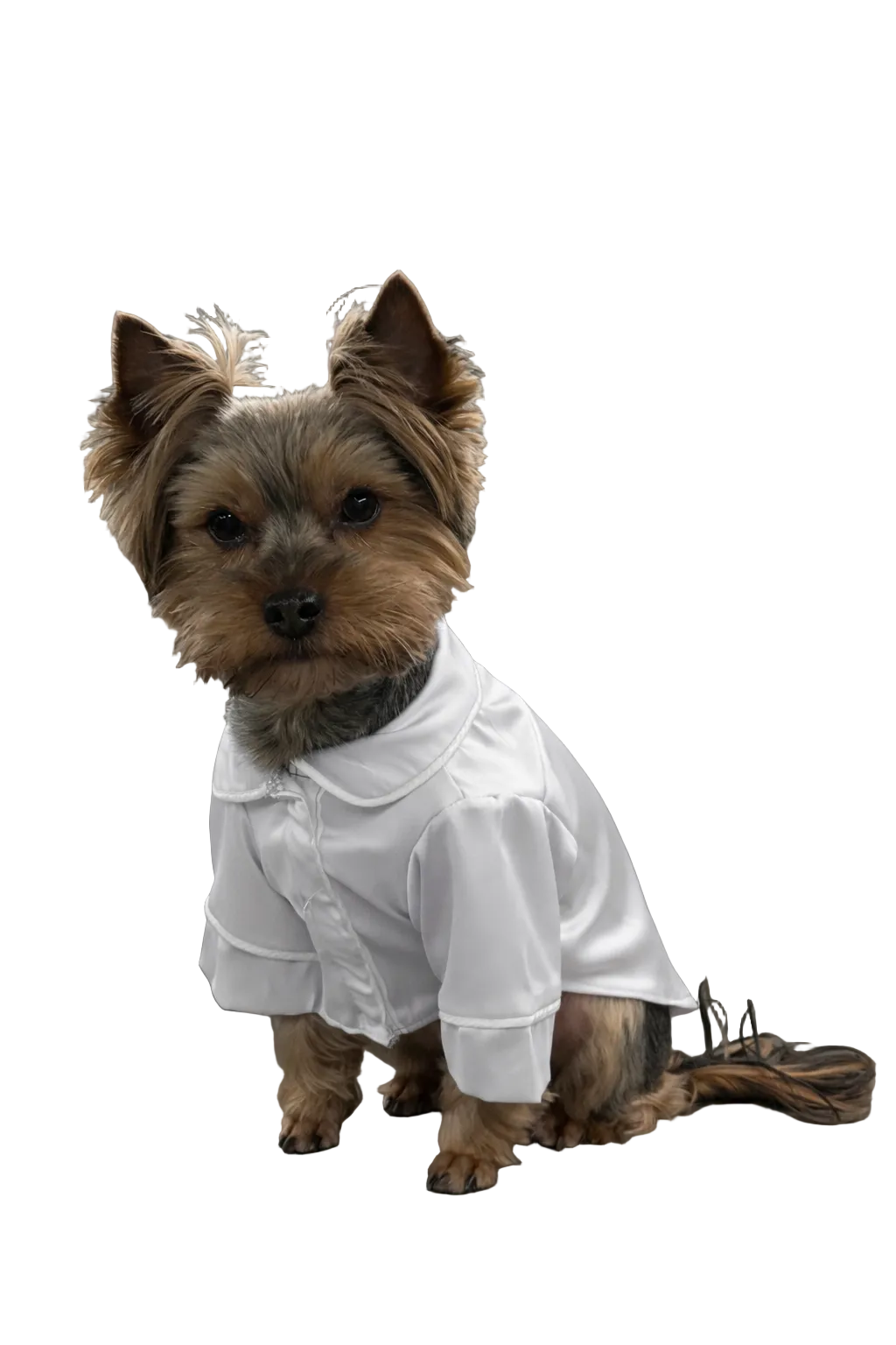 СОРОЧКА ДЛЯ ТВАРИНКИ БІЛА